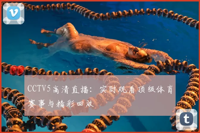 CCTV5高清直播：实时观看顶级体育赛事与精彩回放