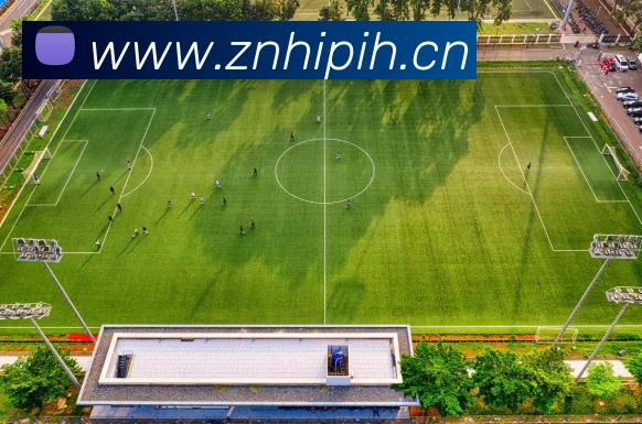 hth网址发展历程