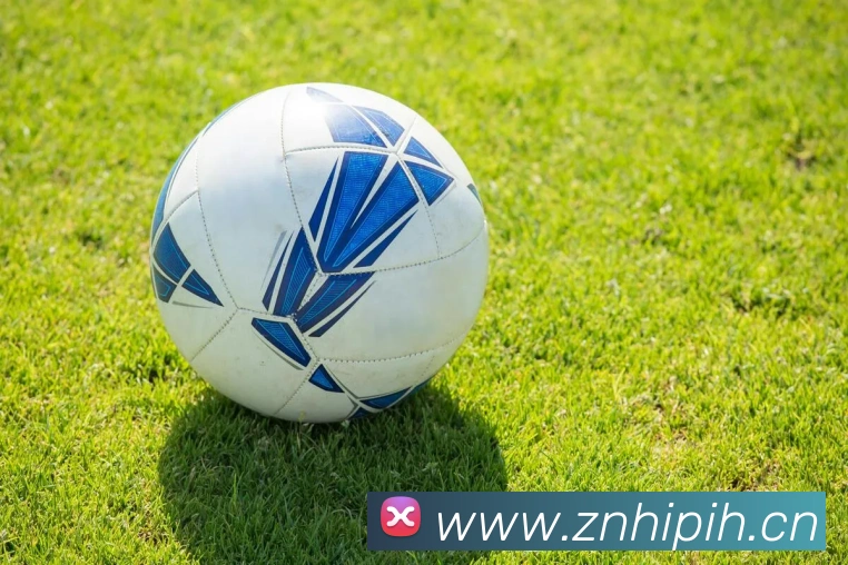 CCTV5高清直播：实时观看顶级体育赛事与精彩回放